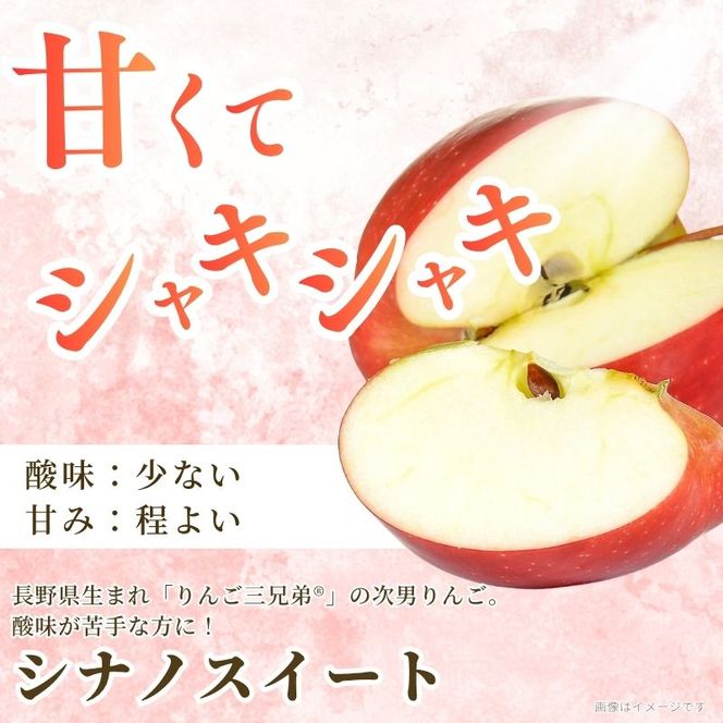【2026年10月発送】シナノスイート 訳あり家庭用 約5kg 12～23玉 りんご 果物 訳あり 信州 長野
