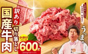 mrz0360 国産牛 切り落とし 600g 小分け 300g×2P【氷温熟成×極味付け 国産 牛肉 訳あり サイズ不揃い カレー 牛丼 野菜炒め 肉じゃが 家計応援】