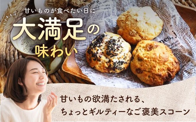 【全6回定期便】厳選おすすめ スコーン 12個セット 焼き菓子 焼菓子 お菓子 冷凍 個包装 沖縄市 / ZEBRA.Bagel[BCAE012]