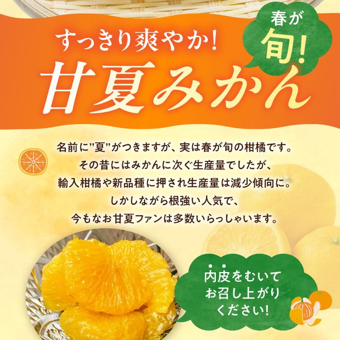 G7362_【2027年先行予約】【ご家庭用】【訳あり】紀州有田産　すっきり爽やか　甘夏みかん　８kg
