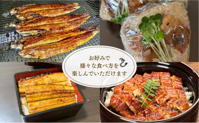 30年間継承されてきた秘伝のタレで焼き上げたうなぎの蒲焼き 312011_FZ001