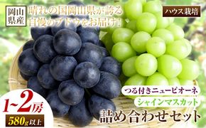 【先行予約】岡山県産 つる付き！ニューピオーネ & シャインマスカット セット ハウス栽培 内容量が選べる 有限会社ホーティカルチャー神島《7月中旬-8月中旬頃出荷》岡山県 笠岡市 晴王 ぶどう 詰め合わせ【配送不可地域あり】---H-83---