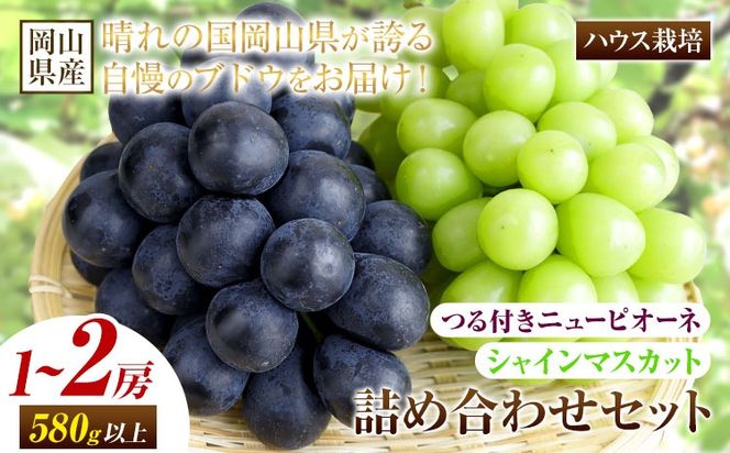 【先行予約】岡山県産 つる付き！ニューピオーネ & シャインマスカット セット ハウス栽培 内容量が選べる 有限会社ホーティカルチャー神島《7月中旬-8月中旬頃出荷》岡山県 笠岡市 晴王 ぶどう 詰め合わせ【配送不可地域あり】---H-83---