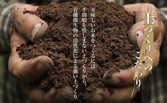 棚田米 魚沼産 コシヒカリ 20kg 新潟県 十日町市 松代地区 限定 棚田 こしひかり （お米屋秘伝！美味しいご飯の炊き方ガイド付き） 精米 ブランド米 銘柄米 