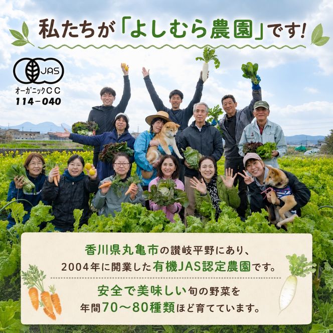 野菜 定期便 4回 詰め合わせ 10種 よしむら農園 オーガニック 有機 有機野菜 やさい ベジタブル おまかせ セット 一人暮らし おすすめ レタス とうもろこし トマト 有機栽培 JAS 栄養 贅沢 国産 大容量 人気 新鮮 今が旬 香川県 丸亀市