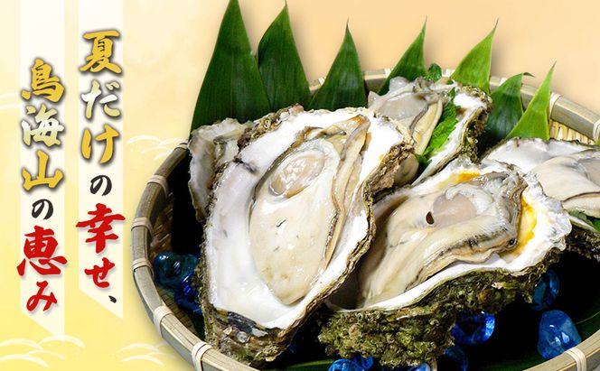 象潟産 天然岩牡蠣 8～10個 ナイフ無【牡蠣 夏牡蠣 かき 象潟 生食可 魚介類 海鮮　海産物 海の幸】　秋田商店