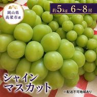 ぶどう シャインマスカット 約5kg 6～8房 葡萄 フルーツ 岡山 高梁市産 こあに葡萄園 2026年 先行予約 果物類 ぶどう ブドウ 