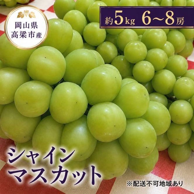 ぶどう シャインマスカット 約5kg 6～8房 葡萄 フルーツ 岡山 高梁市産 こあに葡萄園 2026年 先行予約 果物類 ぶどう ブドウ 