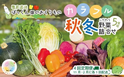 【 早期受付 4回定期便 】 とれたて 新鮮 ぱっくん畑のおくりもの 農家直送 秋・冬 野菜セット 約5種類 国産 野菜 やさい 予約 高知県 高知 しまんと 四万十市 限定 お取り寄せ 【2026年11月～2027年2月まで毎月1回配送】26-055