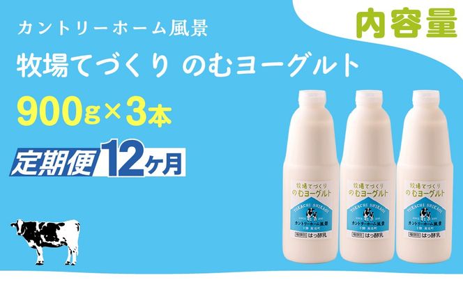 【定期12ヶ月】のむヨーグルト 900g ×3 SKB038