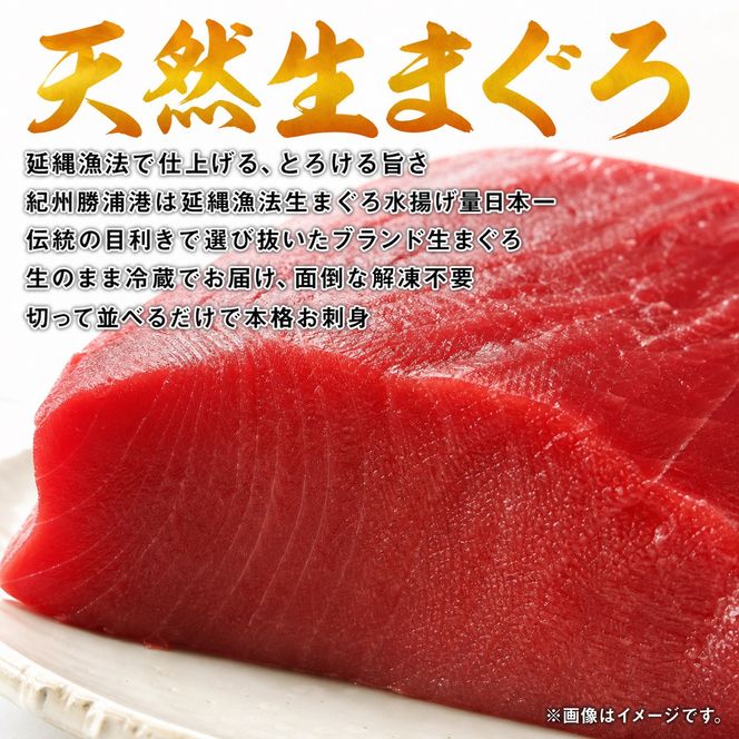 【定期便 全3回】紀州和歌山うまいもんセットA（生まぐろ・うなぎ蒲焼・熊野牛）【UT125】 303446_XF91165