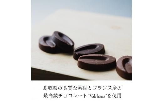 生チョコレートアソートセット 16個入 312011_DD003