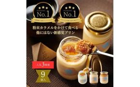 プリン専門店Totto PURIN プリン食べ比べ9個セット 312011_DD013