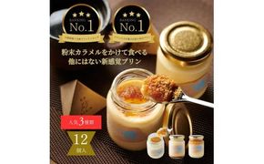 プリン専門店Totto PURIN プリン食べ比べ12個セット 312011_DD015