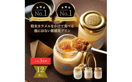 y挧szvXTotto PURIN vHה12Zbg 312011_DD015