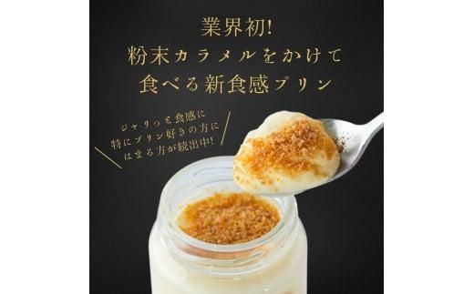 プリン専門店Totto PURIN プリン食べ比べ12個セット 312011_DD015