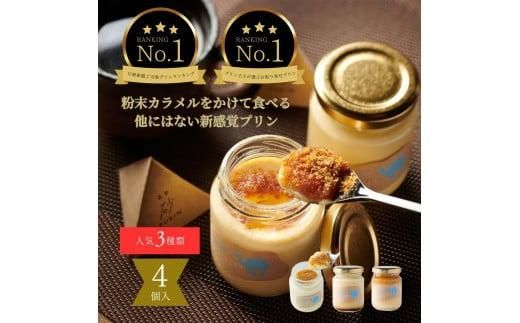 y挧szvXTotto PURIN vHה4Zbg 312011_DD016