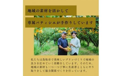 プリン専門店Totto PURIN プリン食べ比べ4個セット 312011_DD016