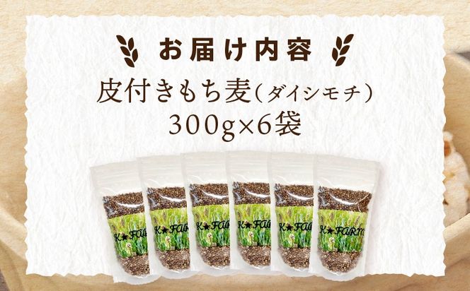皮付きもち麦(ダイシモチ）300g×6袋