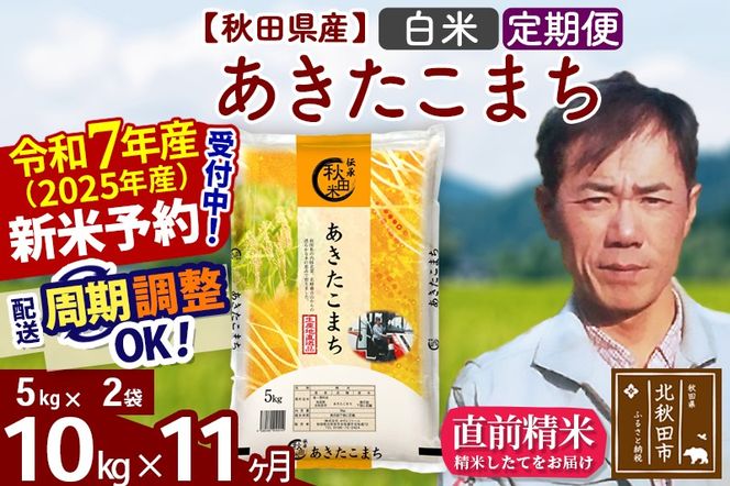 ※令和7年産 新米予約※《定期便11ヶ月》秋田県産 あきたこまち 10kg【白米】(5kg小分け袋) 2025年産 お届け周期調整可能 隔月に調整OK お米 みそらファーム|msrf-12111