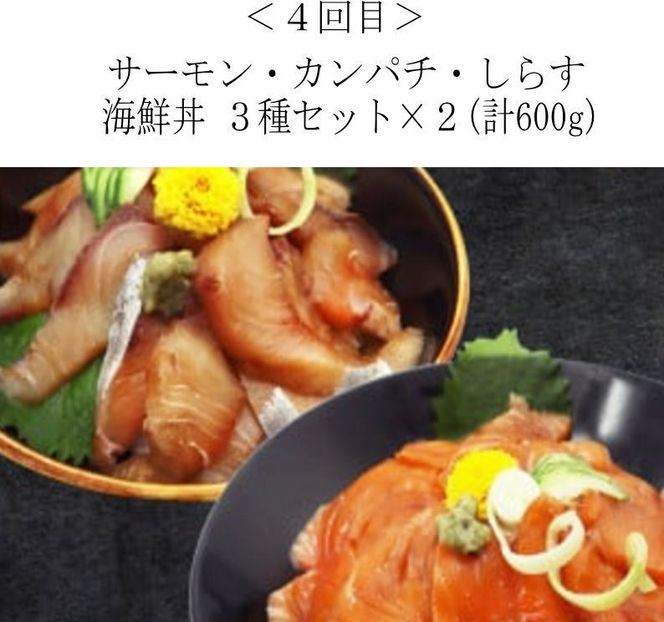 【全4回】家族みんなで楽しめる＼たっぷり容量ならコレ／絶品おかず定期便（さば・鰻・サケ・海鮮丼）【tkb305】