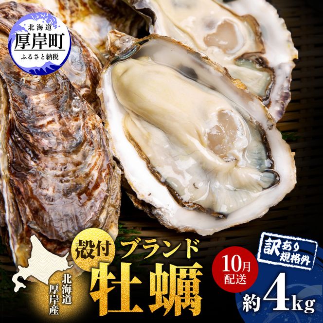 10月配送 訳あり 牡蠣 北海道厚岸産 殻付カキ 約4kg (25から50個) カキナイフ付 生食 生牡蠣 貝付き牡蠣 貝 海鮮 魚介類 殻付き牡蠣 マルえもん