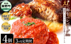 幻のあかうし和牛ハンバーグ 4個入り 3ヶ月定期便 1個120g 特製デミソース トマトソース付き 田野屋青蜂 白鯆 完全天日塩練り込み 肉 お肉 国産牛 おかず おいしい お取り寄せ 冷凍 配送 高知県 田野町