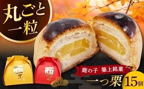 【老舗の菓子屋 鹿の子】和菓子 「一つ栗」 15個《築上町》【有限会社 御菓子司 鹿の子】[ABAC024]
