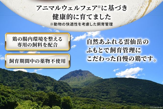 AI085 鶏肉 雲仙しまばら鶏 もも肉 むね肉 各300g 5袋 計3kg [ 小分け 鶏もも肉 鶏むね肉 若鶏 とりもも肉 とりむね肉 とりもも とりむね 肉 チキン 真空パック セット 大光食品 長崎県 島原市 ]