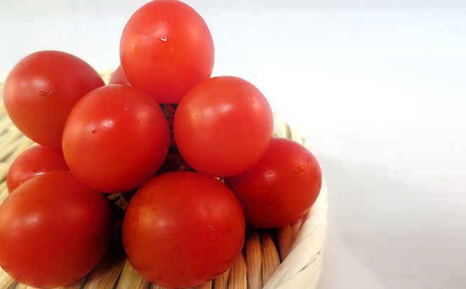  2026年 先行予約 ミニ トマト 150g 10パック とまと 岡山 高梁市産 有機 野菜