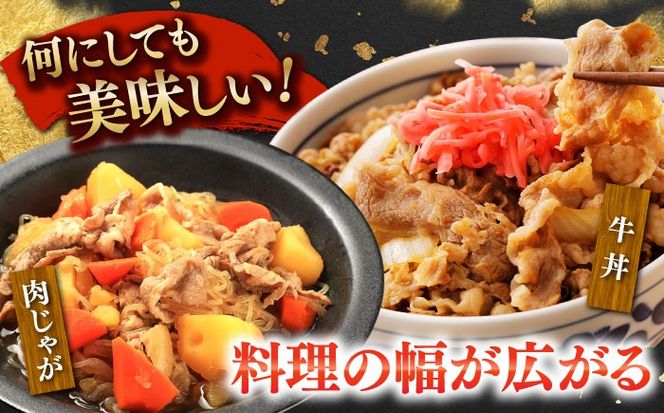 国産 黒毛和牛 熟成肉 切り落とし 500g / 小分け 国産牛 お肉 牛肉 切落し 冷凍 焼肉 すき焼き / 南島原市 / ふるさと企画[SBA094]