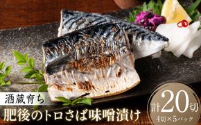 酒蔵育ち 肥後のトロさば 味噌漬け 4切入×5パック 合計20切 おかず レシピ トロサバ とろさば 赤酒 味噌漬け さば サバ 鯖 焼き魚 魚 熊本 八代市