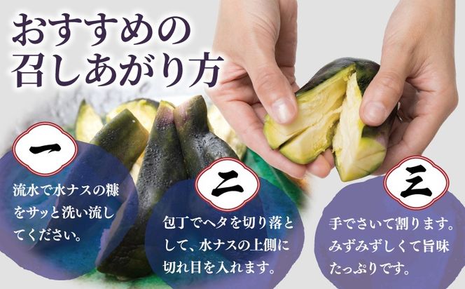005A795 こだわり水ナス漬 4個【茄子 なす 野菜 国産 漬物 旬 おつまみ 糠漬け ぬか漬け ナス】