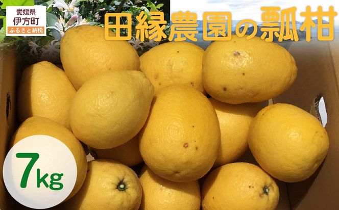 yQɕzys\zyʌzc_̕Ziʁj7kg i2026N41菇j IKTA023