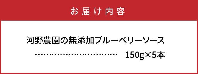 河野農園の無添加ブルーベリーソース150g×5本_1450R