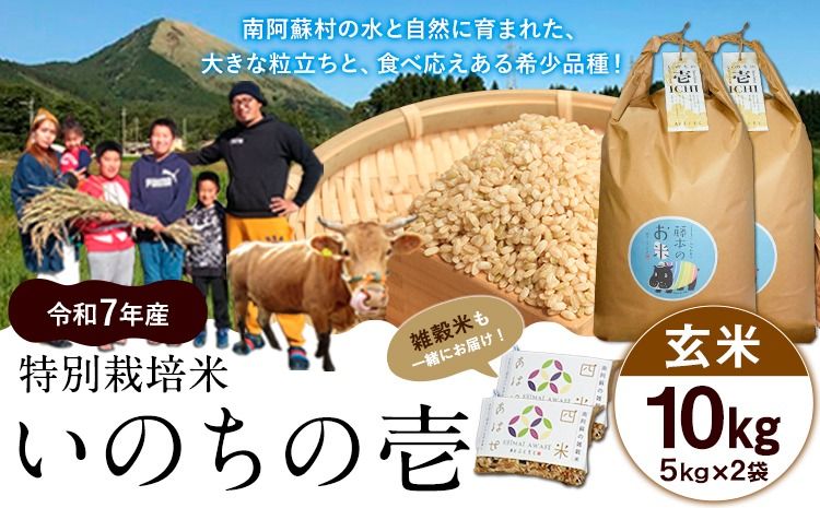 新米 令和7年産 特別栽培米 いのちの壱(玄米) 10kg 5kg×2 雑穀米付き[10月中旬-11月下旬頃出荷] 熊本県 南阿蘇村 熊本県産 虹色のかば 雑穀米---sms_inci6_k1011_r7_30000_g10kg2---
