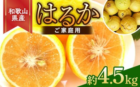 【先行予約】和歌山県産 はるかみかん 約4.5kg（サイズ混合・ご家庭用）