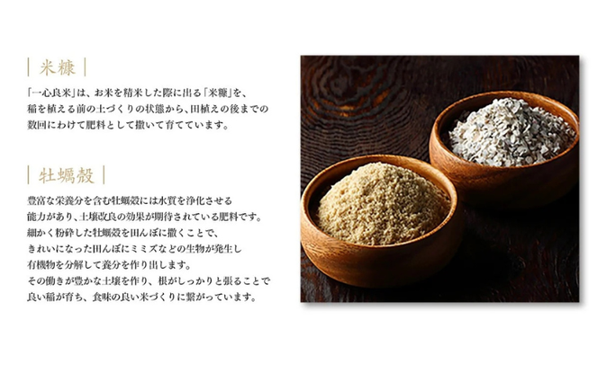 【令和7年産】 真庭市産コシヒカリ 米ぬか 牡蠣栽培米 『 一心良米 』 白米 20kg (5kg×4袋） / お米 いっしんりょうまい 岡山県 こしひかり 人気 ブランド 2025年産 【tkns013-01-cho】