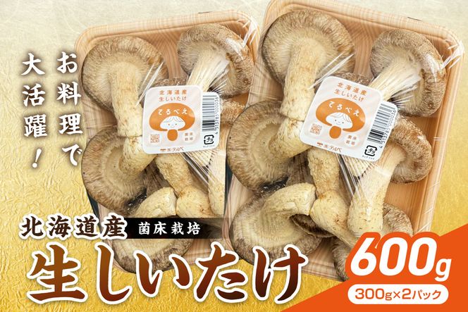 北海道産 生しいたけ(菌床) 2パック ( きのこ キノコ 椎茸 シイタケ )【038-0012】