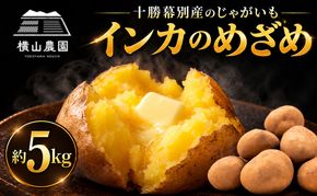 先行予約/2026年秋発送 北海道 十勝 幕別産 じゃがいも インカのめざめ 約5kg【横山農園】  野菜 根菜 フライドポテト ポテトチップス 変色しにくい 煮崩れしにくい 黄金色 北海道のジャガイモ 