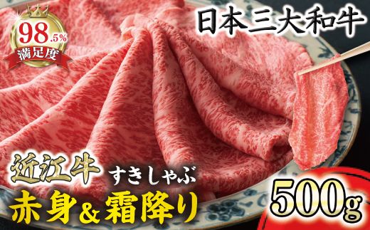 特選近江牛すき焼き・しゃぶしゃぶ用『霜降り・赤身ミックス』500g【寛閑観】【FR04W】