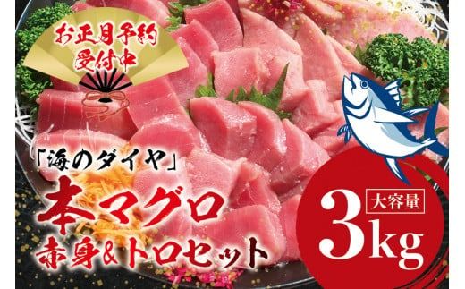 本マグロ（養殖）トロ＆赤身セット 3kg【12月26日～30日に発送】/ 高級 クロマグロ 中トロ 中とろ まぐろ マグロ 鮪 刺身 赤身 柵 じゃばらまぐろ 本マグロ 本鮪【nks112B-sg】