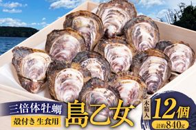 殻付き牡蠣 生食用 三倍体牡蠣 島乙女 約840g 12個入 [カネキ水産 宮城県 気仙沼市 20565985] 牡蠣 期間限定 冷蔵 新鮮 濃厚 カキ かき 生牡蠣 魚貝類 貝 海鮮 魚介類 なべ カキフライ 牡蠣ご飯 魚介