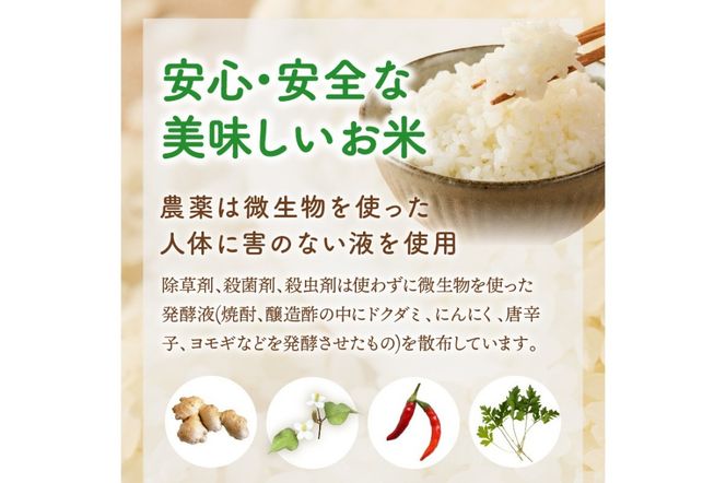【E2-006】【令和6年産】農薬・化学肥料不使用 真ちゃん米 15kg