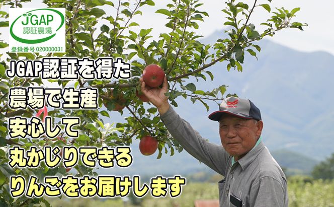  2月発送【 糖度保証 】家庭用 葉取らず サンふじ 約 5kg【 訳あり 】鶴翔りんごGAP部会 青森県産 津軽産 リンゴ 林檎 果物 フルーツ デザート 甘味
