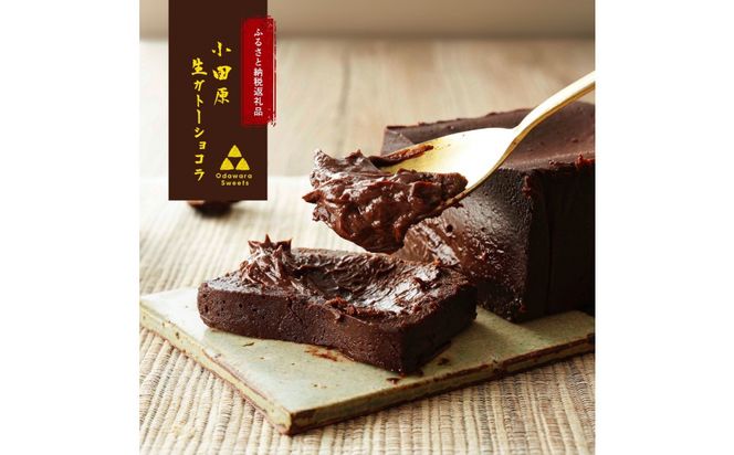 【バレンタイン特別梱包！2月発送】幸せの生ガトーショコラ 450g【チョコレート 特濃厚 濃密な味わい 極上の口溶け 極上のチョコレート 一流の料理人 チョコレート本来の味わいと甘み カカオの風味やコク カカオ 至極の逸品 神奈川県 小田原市 】 142069_DW001-GFT