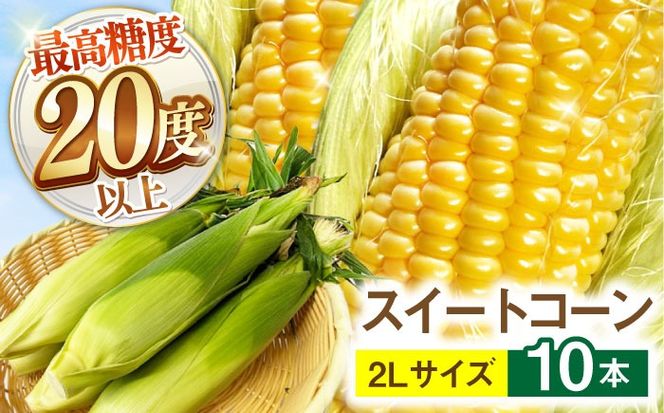 y茧쓇szy2026N6`zyōx20xȏIzƂ낱 2LTCY 10{ / S[hbVlI gERV R[ XC[gR[ / 쓇s / OaT[rX[SGB008]