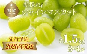 【2026年先行予約】　シャインマスカット約1.5kg（3~4房） FB041