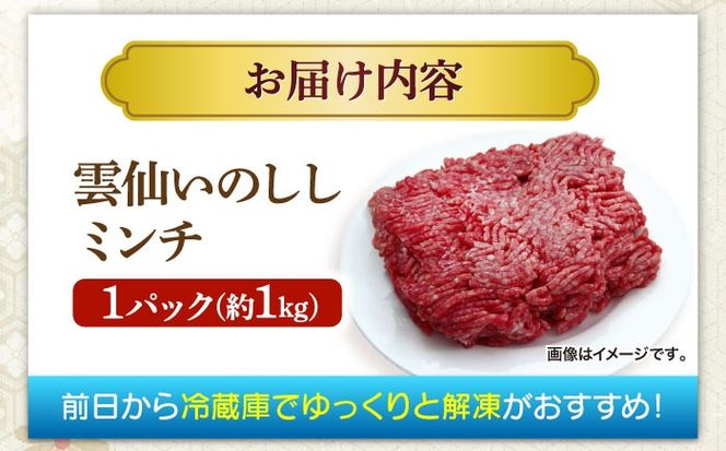 猪肉 ミンチ 1kg 雲仙いのしし / ひき肉 肉 イノシシ ジビエ いのしし ハンバーグ / 南島原市 / 株式会社高田牧場[SDB012]