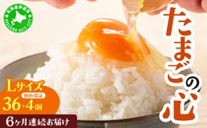 北海道産 6ヵ月連続お届け   たまごの心 40個 Lサイズ   太陽の園  の平飼たまご  有精卵 北海道 伊達市 たまご 卵 生たまご 鶏卵  鶏の卵 ポリスブラウン 食材 卵かけごはん TKG オムレツ オムライス 【農福連携】